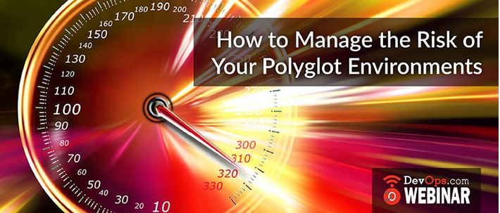 How to Manage the Risk of your Polyglot Environments
