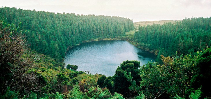 a lake surrounded by trees in a forest